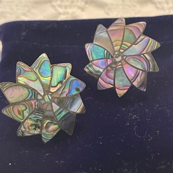 Abalone and Alpaca silver screwback vintage earrings - Picture 8 of 12